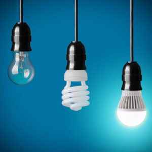 Decorative Bulbs